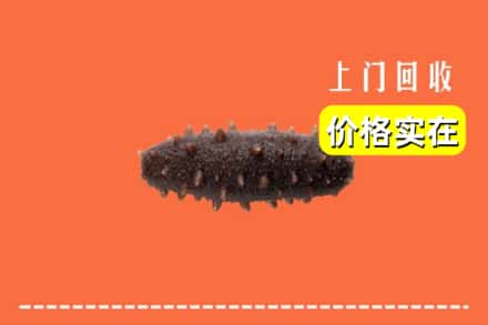 收购资讯:新洲区回收海参